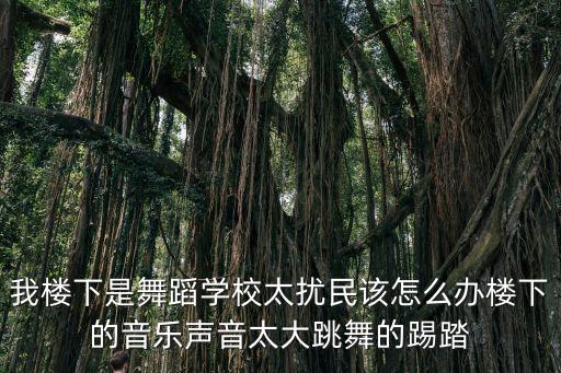 我楼下是舞蹈学校太扰民该怎么办楼下的音乐声音太大跳舞的踢踏