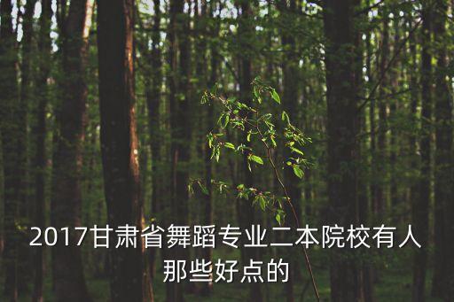 甘肃省内舞蹈专业大学排名，2017甘肃省舞蹈专业二本院校有人那些好点的