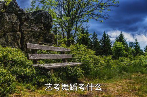 艺术生舞蹈考试考的内容，艺考舞蹈考什么
