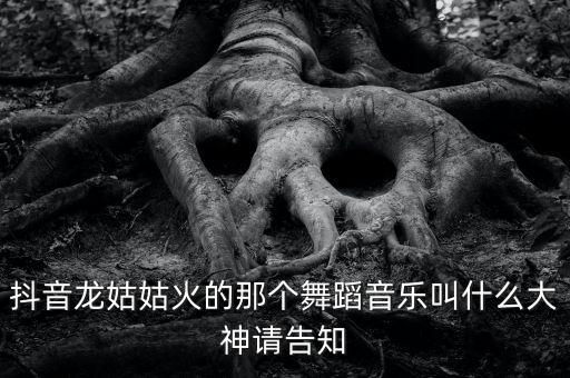 抖音龙姑广场舞音乐，抖音龙姑姑火的那个舞蹈音乐叫什么大神请告知