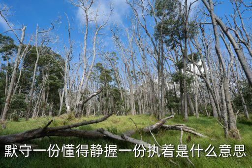 默守一份懂得静握一份执着是什么意思