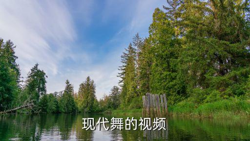 舞蹈剪辑精选，现代舞的视频