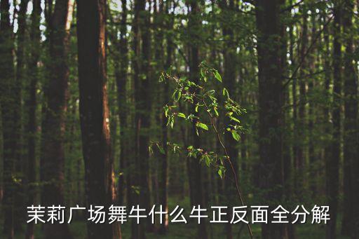 茉莉广场舞牛什么牛正反面全分解