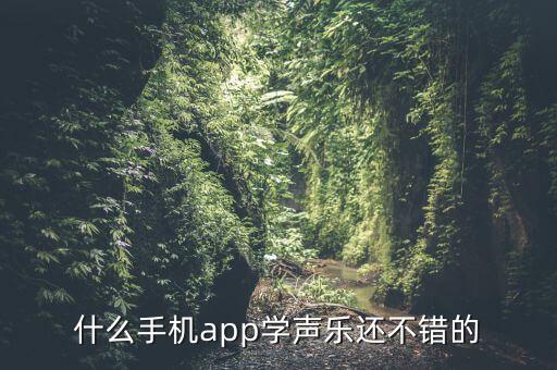 什么手机app学声乐还不错的
