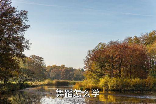 舞蹈怎么学