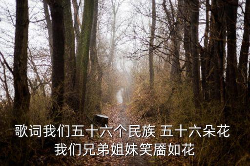 歌词我们五十六个民族 五十六朵花 我们兄弟姐妹笑靥如花