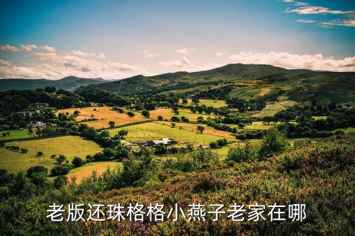 格格老家在哪里，还珠格格中的夏紫薇老家在哪
