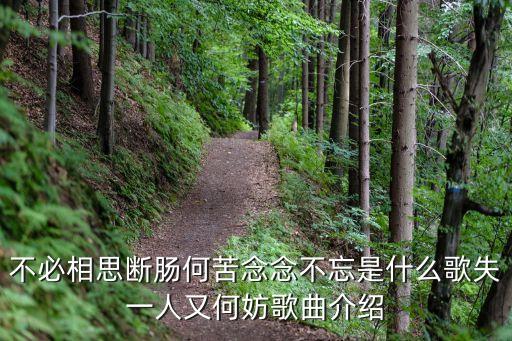 不必相思断肠何苦念念不忘是什么歌失一人又何妨歌曲介绍