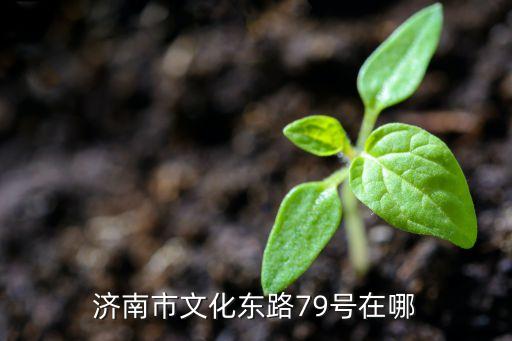 济南舞蹈比赛在哪里，最近山东有什么舞蹈比赛啊