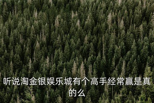 听说淘金银娱乐城有个高手经常赢是真的么