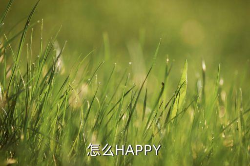 怎么HAPPY