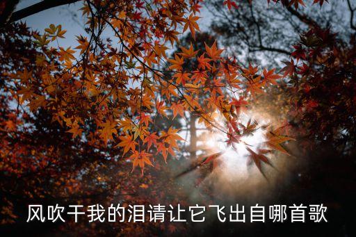 风吹干我的泪请让它飞出自哪首歌