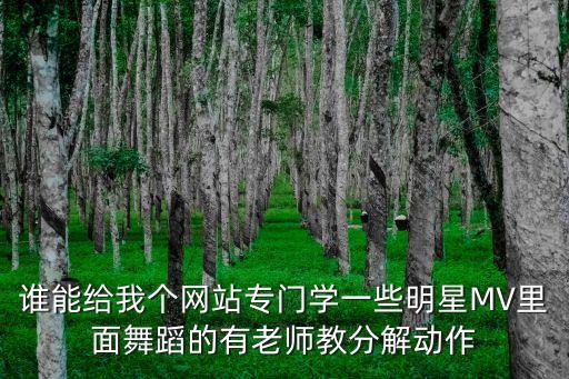 谁能给我个网站专门学一些明星MV里面舞蹈的有老师教分解动作