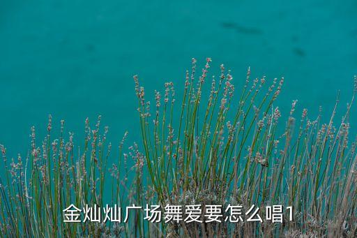 金灿灿广场舞爱是什么，金灿灿广场舞爱要怎么唱1
