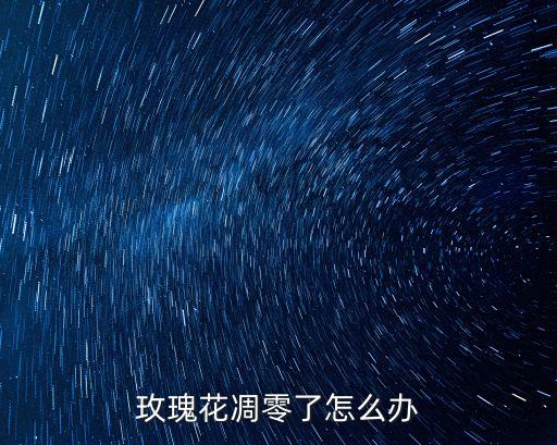 如何让玫瑰花开得灿烂，怎样能让玫瑰花苞瞬间开花