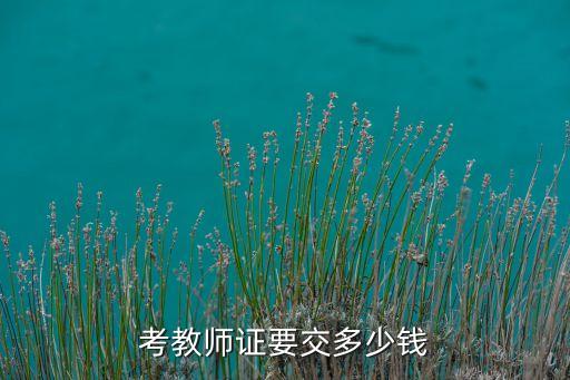 考教师证要交多少钱