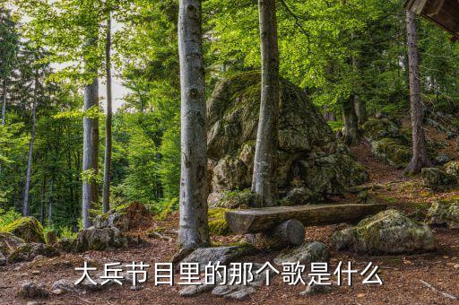 大兵体操音乐是什么，以色列大兵跳舞的伴曲是什么啊