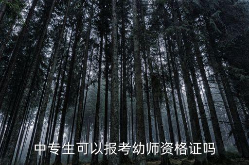 中专生可以报考幼师资格证吗