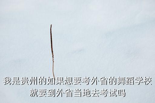 我是贵州的如果想要考外省的舞蹈学校就要到外省当地去考试吗