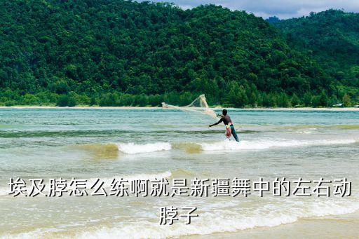 埃及脖怎么练啊就是新疆舞中的左右动脖子