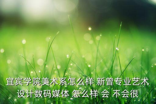 宜宾学院美术系怎么样 新曾专业艺术设计数码媒体 怎么样 会 不会很