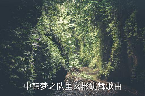 梦之队跳舞音乐是什么歌曲，中韩梦之队里玄彬跳舞歌曲