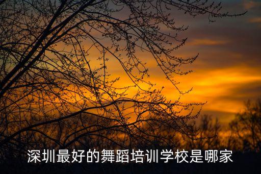 深圳有名的舞蹈学校有哪些，深圳比较专业的舞蹈学校有哪些不要说的太远了我住龙华就介绍