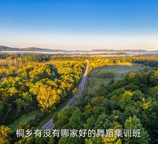 桐乡有没有哪家好的舞蹈集训班
