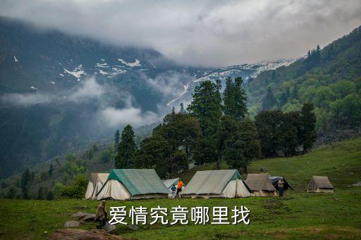 王子广场舞爱情到底哪里找，广场舞爱情究竟哪里找MP3下载