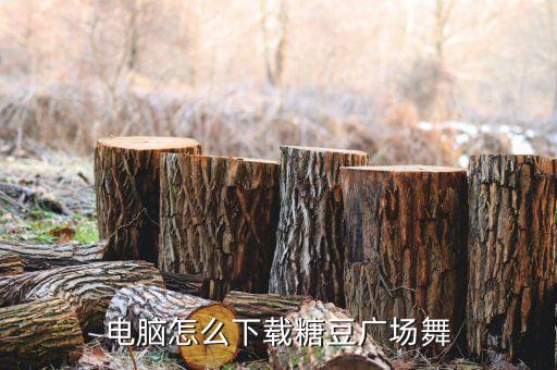 糖豆广场舞app怎么下载到电脑，电脑怎么下载糖豆广场舞