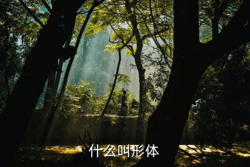 什么叫形体