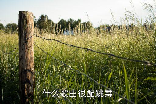 什么歌曲很配跳舞