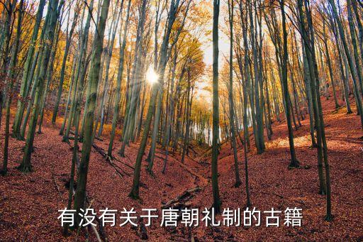 有没有关于唐朝礼制的古籍
