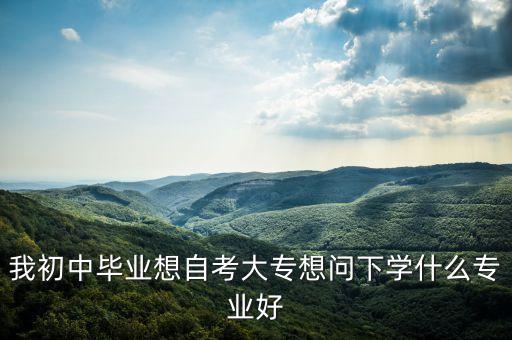 初中自考大专可以选什么专业，我初中毕业想自考大专想问下学什么专业好