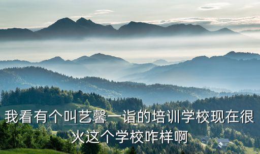 徐州艺馨舞蹈怎么样，我看有个叫艺馨一诣的培训学校现在很火这个学校咋样啊