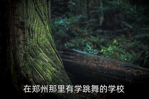 在郑州那里有学跳舞的学校