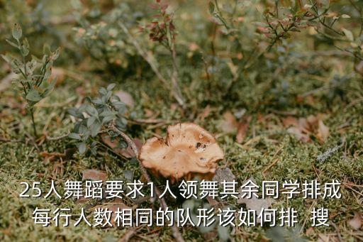 25人舞蹈要求1人领舞其余同学排成每行人数相同的队形该如何排  搜