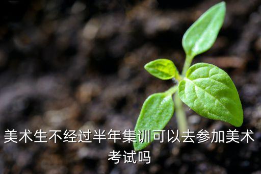 美术生不经过半年集训可以去参加美术考试吗