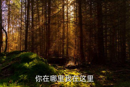广场舞我在这里你在哪里mp3，程一电台里我在这里你在哪里歌曲名字叫什么