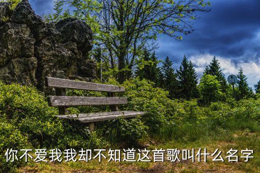 你不爱我我却不知道这首歌叫什么名字