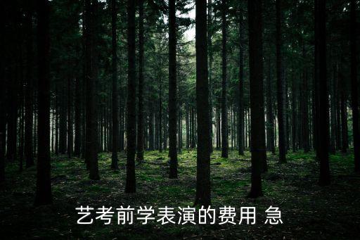 艺考前学表演的费用 急