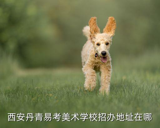 西安丹青画室电话，西安丹青易考美术学校招办地址在哪