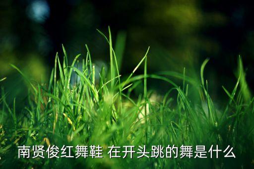 南贤俊红舞鞋 在开头跳的舞是什么