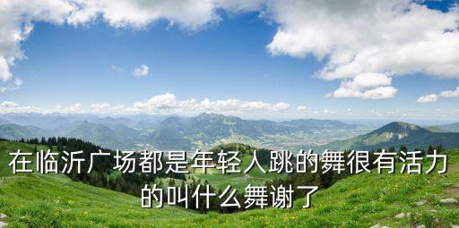 在临沂广场都是年轻人跳的舞很有活力的叫什么舞谢了