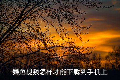 舞蹈视频怎样才能下载到手机上