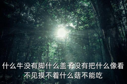茶姐广场舞牛什么牛，花 巧  括号里填什么牛