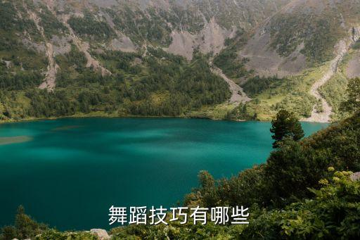 两步舞初学视频大全教程，舞蹈技巧有哪些