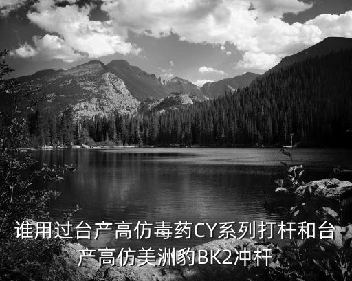 英国 哪里买把杆，谁用过台产高仿毒药CY系列打杆和台产高仿美洲豹BK2冲杆