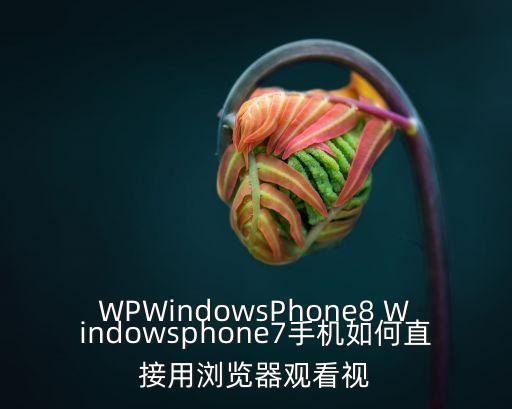 WPWindowsPhone8 Windowsphone7手机如何直接用浏览器观看视
