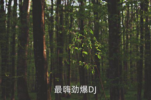 最嗨劲爆DJ